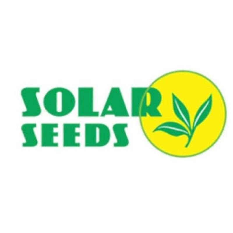 Solar Seeds
