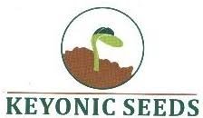 Keyonics